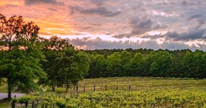 Sunset over vineyard with event name and logo